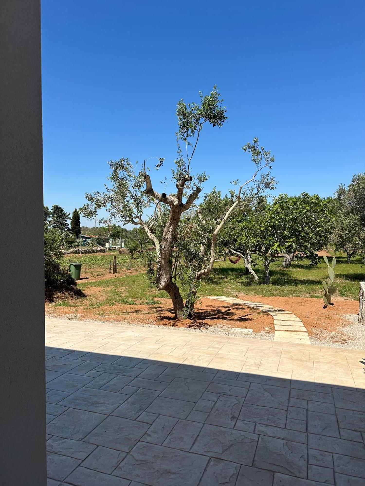 Lizzanello Li Mori Rooms מראה חיצוני תמונה